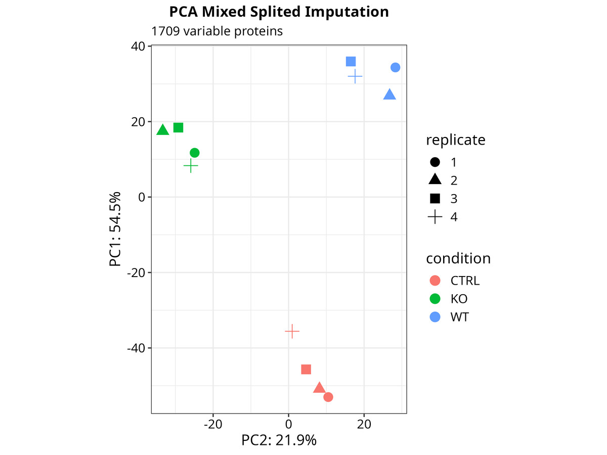 Representative PCA plot showing clustering of samples by genotype/condition