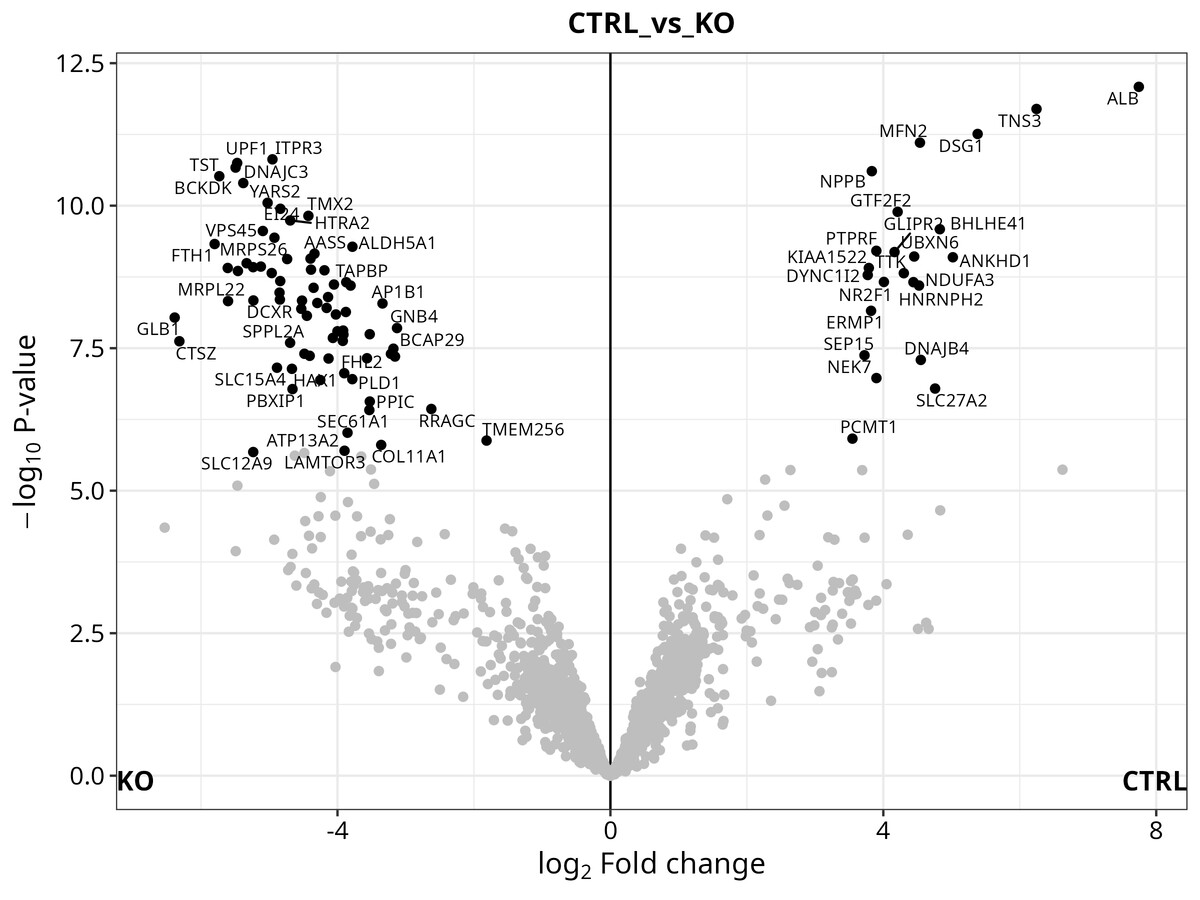 Representative volvano plot in comparison Control vs KO