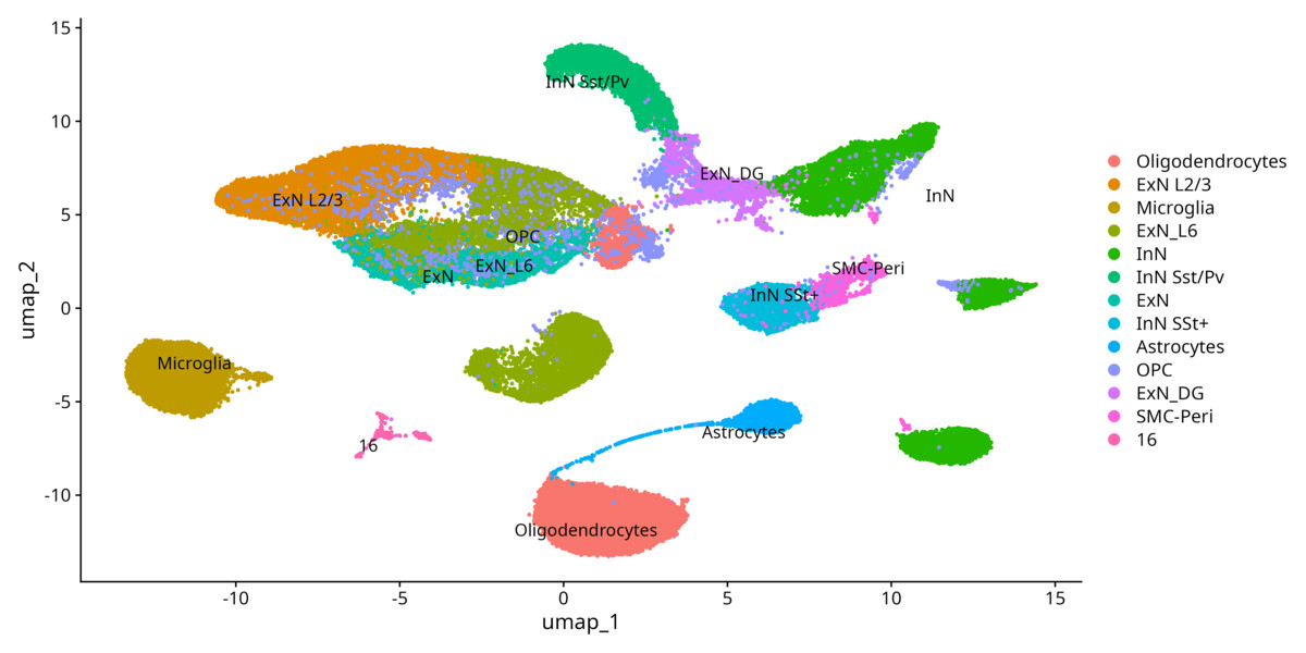 UMAP with manual cell type annotations